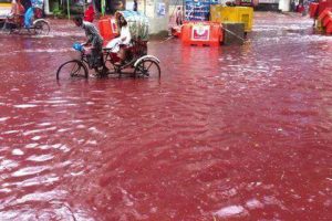 Legal News: The horrific animal sacrifice on Eid in dhaka, streets transformed into bloodstream
