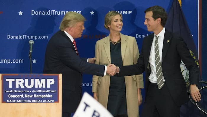 Legal News: An approach for TV network was made by Jared Kushner, Donald Trump’s son-in-law
