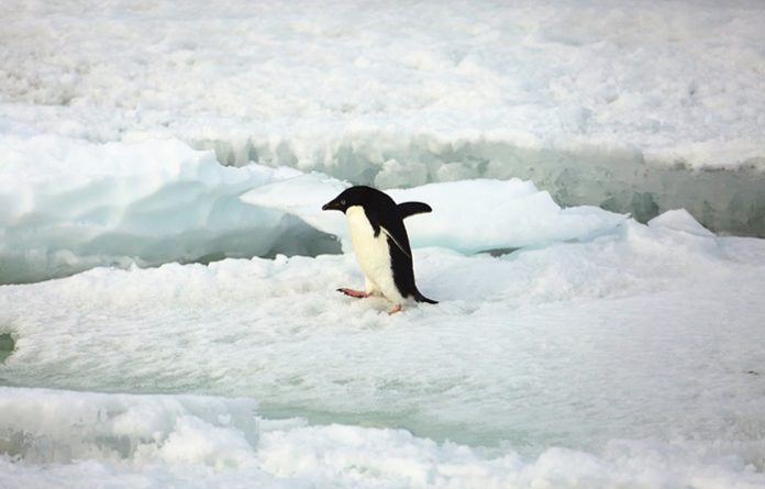 India to formulate law on Antarctica in order to safeguard its interest