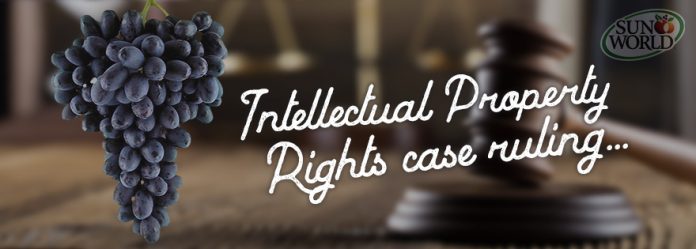 Top 10 Landmark Judgements of Intellectual Property Rights Law