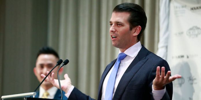 Donald Trump Jr. confessed to a federal crime: Experts