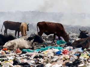 Kenya pollution crackdown