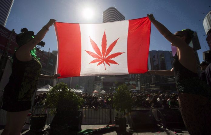 Canada’s Cannabis laws Likely To Be A boon for Lawyers, May Clog Justice system