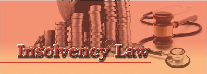Further Amendments To Insolvency Law Likely Based on Panel Recommendations