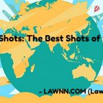 Legal News Shots- The Best Shots of the Day